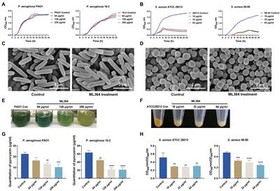 ML364 exerts the broad-spectrum antivirulence effect by interfering with the bacterial quorum sensing system